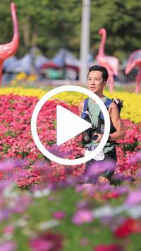 BIB:  <button type="button" onclick="openModal(27588364)" class="btn btn-primary btn-sm float-right" data-toggle="modal" data-target=".modal-high-quality">
                <i class="fa fa-download"></i> Download
                </button>